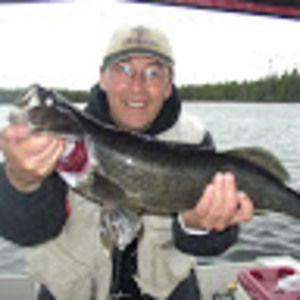 Meet your Posher, Yvon